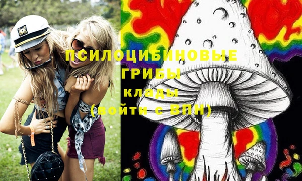 дурь Бугульма