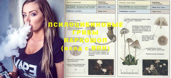 прущий лед Бронницы