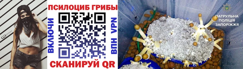даркнет сайт  Киселёвск  Галлюциногенные грибы ЛСД 