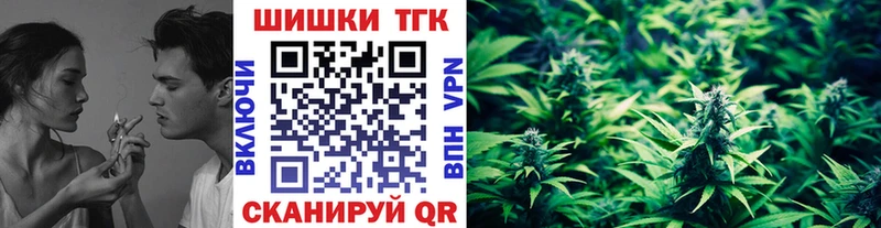 Каннабис план  купить  цена  omg ссылка  Киселёвск 